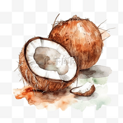 卡通手绘水果椰果椰壳