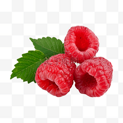 斯科加瀑布图片_树莓维生素熟的自然