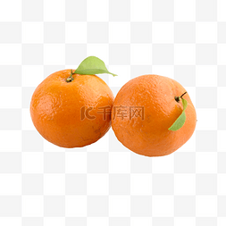 橘子柑橘色水果新鲜