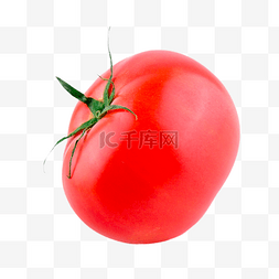 植物番茄图片_番茄植物西红柿蔬菜