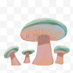 蜡笔风格蘑菇