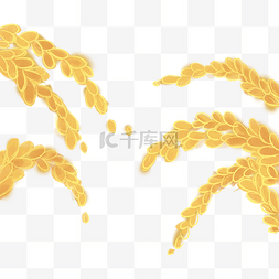 稻谷麦穗