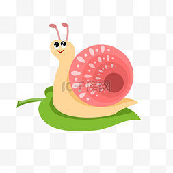 粉色蜗牛