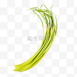 蒜苔盖浇饭图片_新鲜蔬菜一把蒜苔