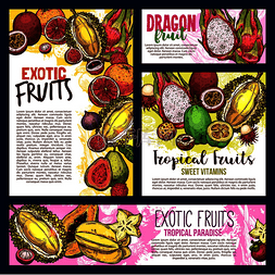 榴莲水果海报图片_异国情调的水果素描横幅和海报的