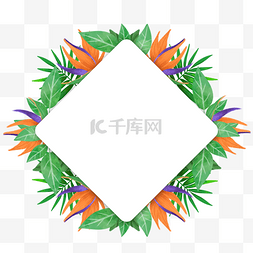 夏威夷文字图片_水彩热带绿色树叶鹤望兰花卉边框