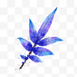 蓝紫色背景图图片_蓝色系植物树枝水彩