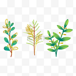 INS描金植物树枝