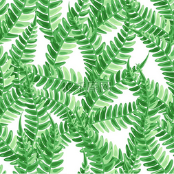 蕨类植物的叶子图片_蕨类植物叶子的无缝图案天然热带