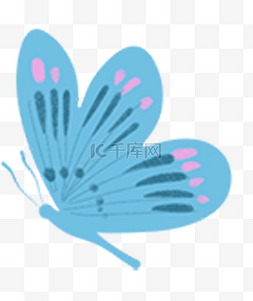 蓝色蝴蝶昆虫