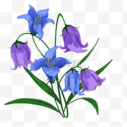 紫色蓝铃花花卉水彩植物婚礼鲜花