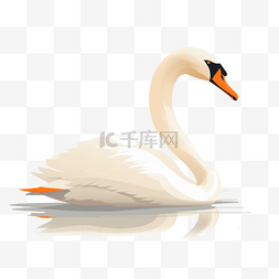 戏水的天鹅图片_手绘动物扁平素材天鹅(1)