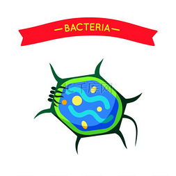 微型图标图片_生物学或细菌学材料的细菌贴花。