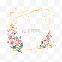 韩国木槿花图片_韩国木槿花卉金线边框