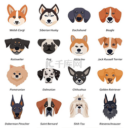 矢量动物图标图片_纯种狗面孔图标集纯种狗面对威尔