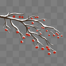 杂乱的树枝图片_节气小雪红果树枝