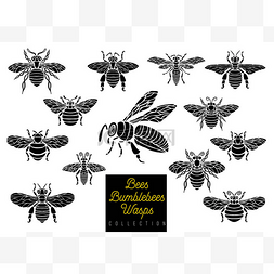 蜜蜂大黄蜂设置素描风格单色收藏