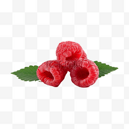 树莓饮食水果植物