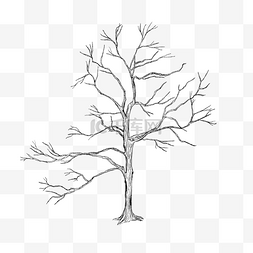 素描山亭子图片_素描树干树枝线描