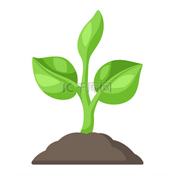 生态农业图片_嫩绿的嫩芽在地里发芽农业种植插