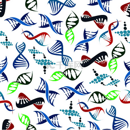 蓝色白色图案图片_五颜六色的无缝人类 DNA 螺旋图案