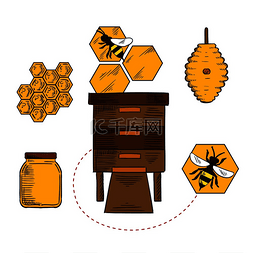 蜂巢设计，蜜蜂在蜂箱、蜂窝和装