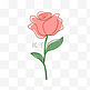 520线条玫瑰花朵