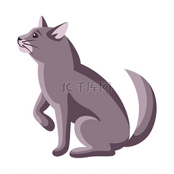 猫叫图片_坐猫的程式化插图。