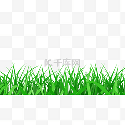 草地杂草写实绿色