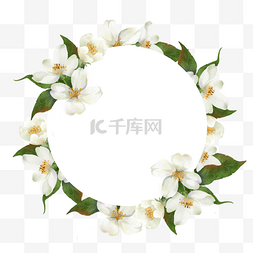 茉莉花边框圆形水彩花卉绿色叶子