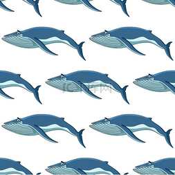卡通墙纸设计素材图片_用于海洋墙纸和织物设计的方格蓝