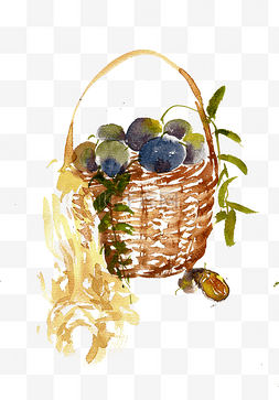 蓝莓丰收图片_篮子里的水果水墨