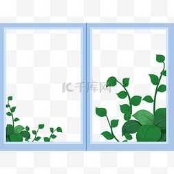窗户绿植叶子