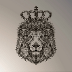 狮子王矢量艺术手绘