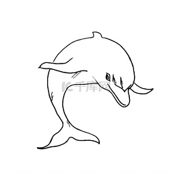 海豚的图标图片_绘制的 dolphin.vector 图