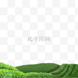 绿风景图片_茶山风景