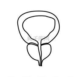 尿液结晶图片_前列腺和膀胱图标。