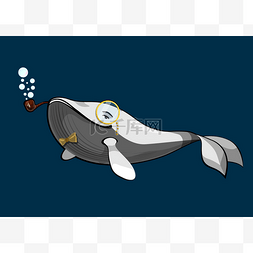 卡通1鱼图片_白画鲸鱼