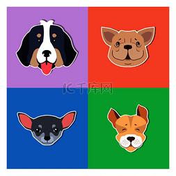 彩色小狗背景图片_纯种狗的四个犬头设置在彩色背景