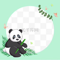 熊猫动物边框图片_熊猫绿色圆形卡通动物facebook边框
