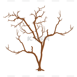 卡通夏天的树图片_孤立的死树枝