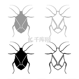 错误bug图片_Bug Bedbug Chinch True bug Hemipterans 昆虫