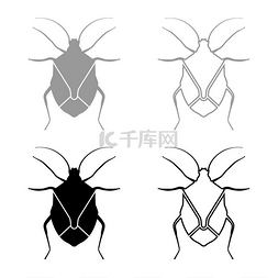 Bug Bedbug Chinch True bug Hemipterans 昆虫