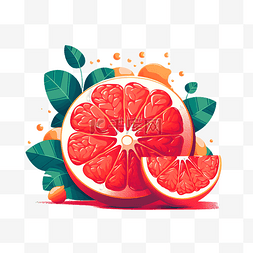 扁平橙图片_水果西柚红柚葡萄柚
