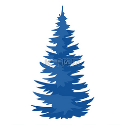 云杉插图蓝色树的自然图标或图像