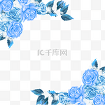 蓝金花卉蓝色玫瑰花边框花朵