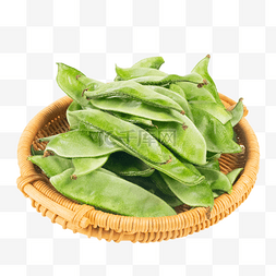 长豆角苗图片_绿色蔬菜扁豆