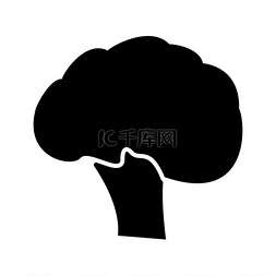 有机蔬菜图片_西兰花黑色图标。