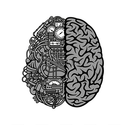 电子科学与技术图片_人脑符号，详细说明人脑与自动计