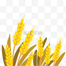 小麦版画图片_秋季丰收小麦